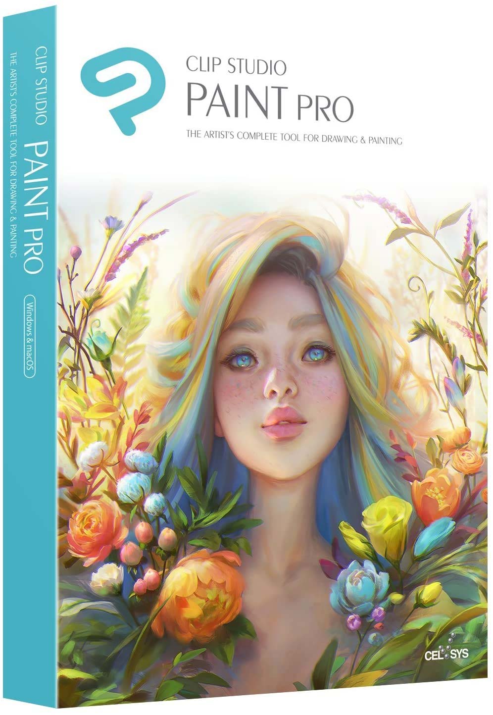 Clip-Studio PAINT PRO (Grafiksoftware)