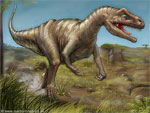 Allosaurus